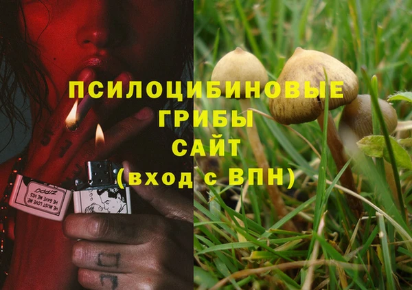 каннабис Алексин